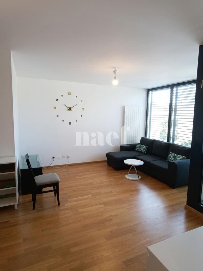 Appartement de 4.5 pièces au coeur de Genève (4)