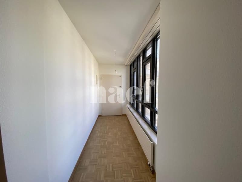 Appartement 5 pièces avec grand balcon à Carouge (2)