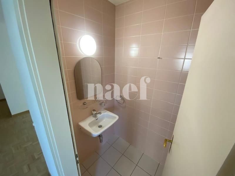 Appartement 5 pièces avec grand balcon à Carouge (10)