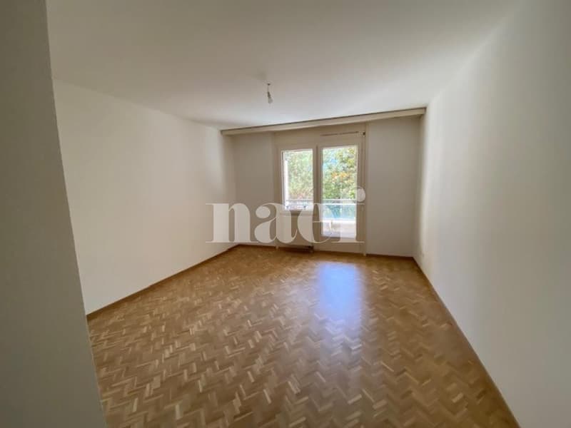 Appartement 5 pièces avec grand balcon à Carouge (7)