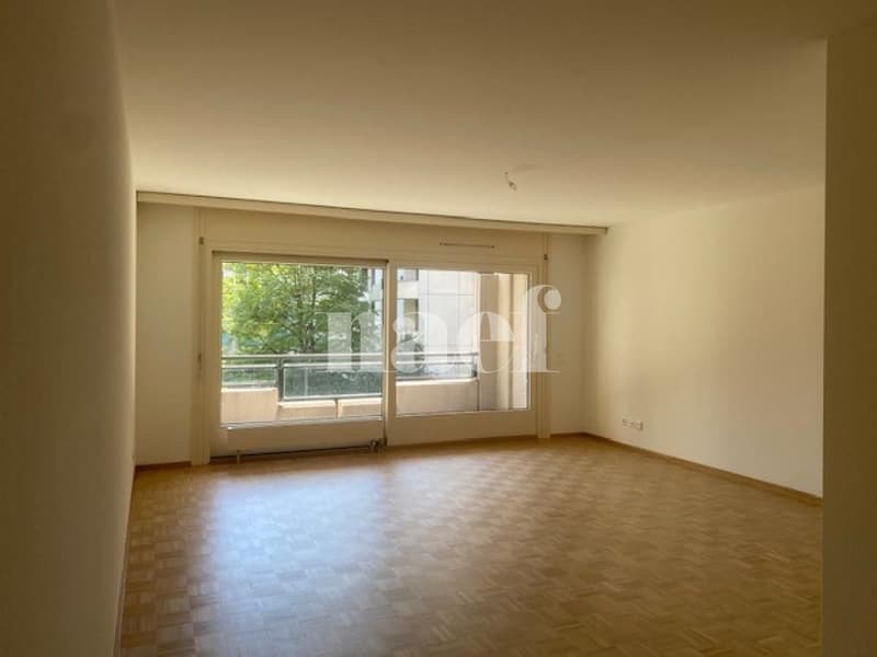 Appartement 5 pièces avec grand balcon à Carouge (4)