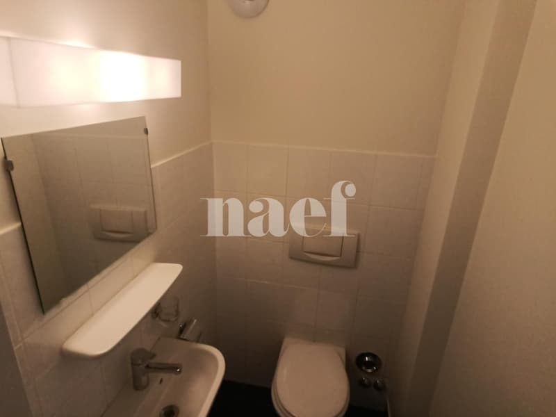 Bel appartement lumineux (7)