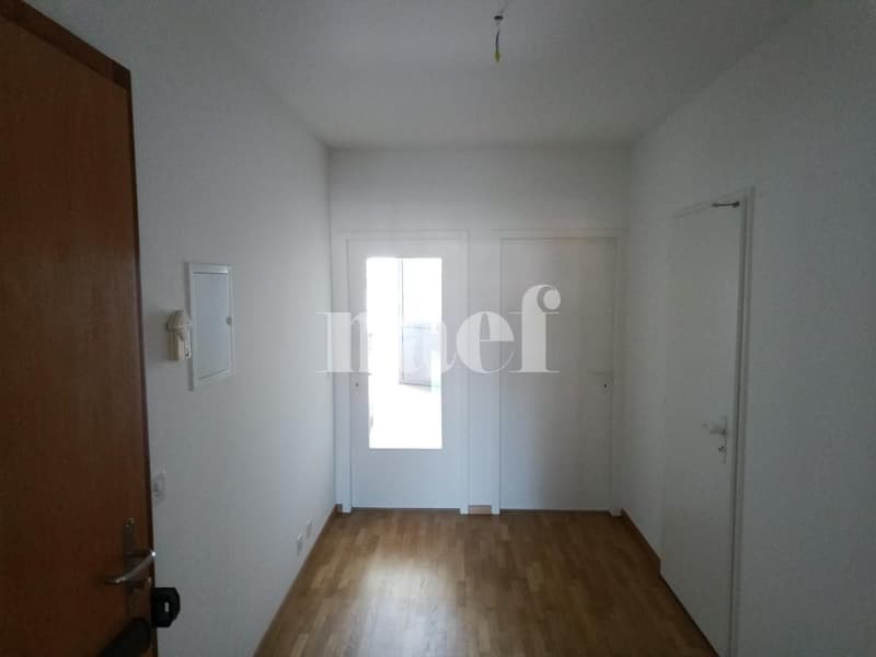Bel appartement lumineux (2)