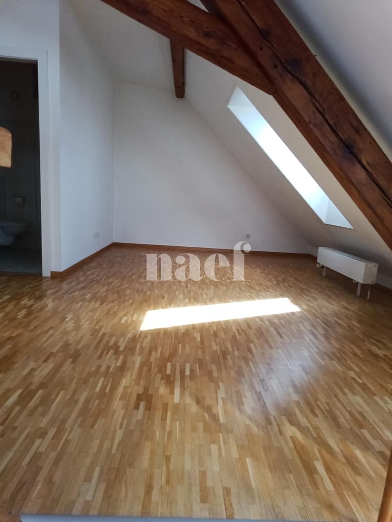 Appartement de 5 pièces à 5 minutes à pied de la gare (6)