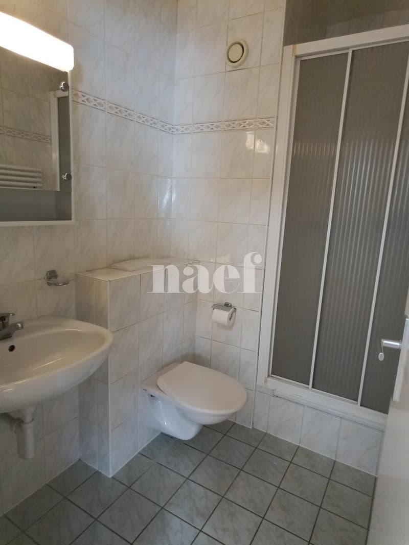 Appartement de 5 pièces à 5 minutes à pied de la gare (8)