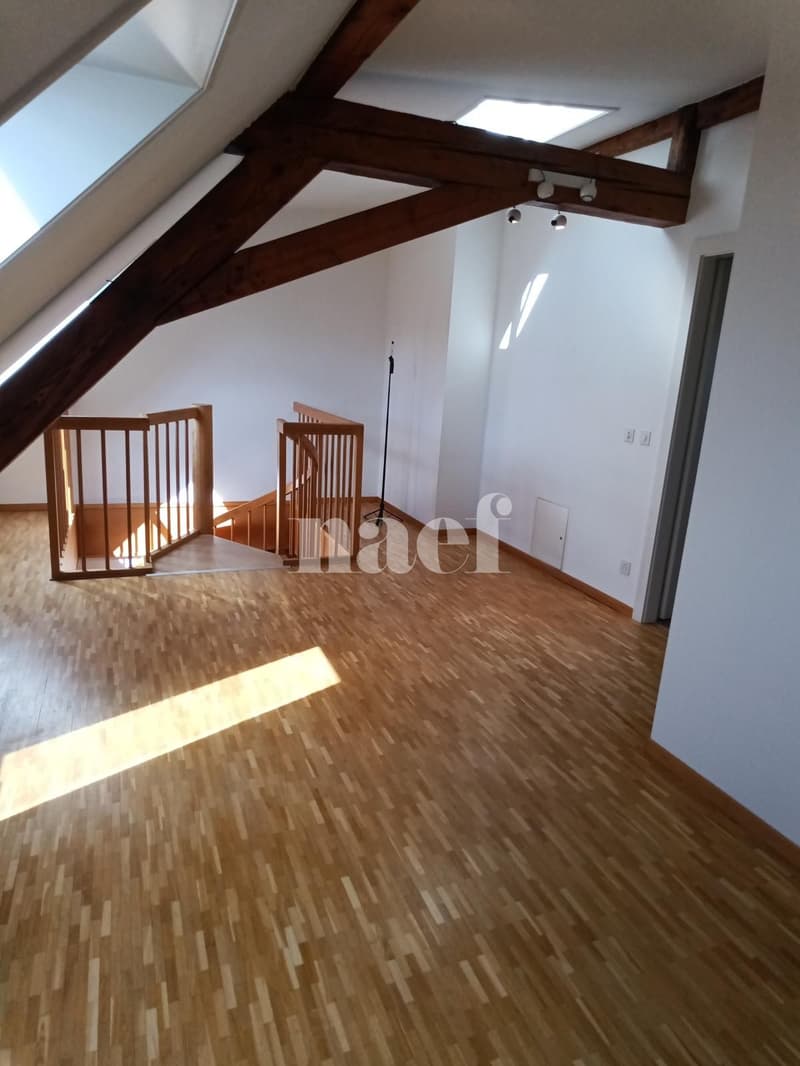 Appartement de 5 pièces à 5 minutes à pied de la gare (5)