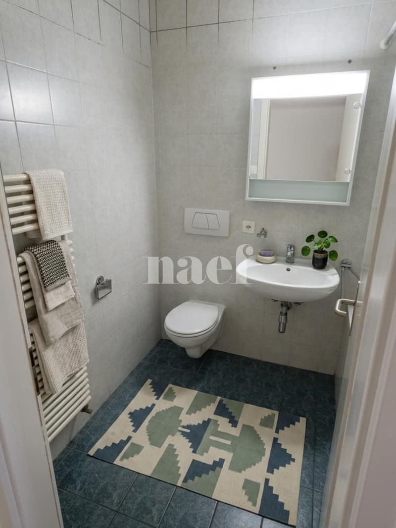 Appartement de 5.5 pièces à 10 minutes à pied de la gare (7)