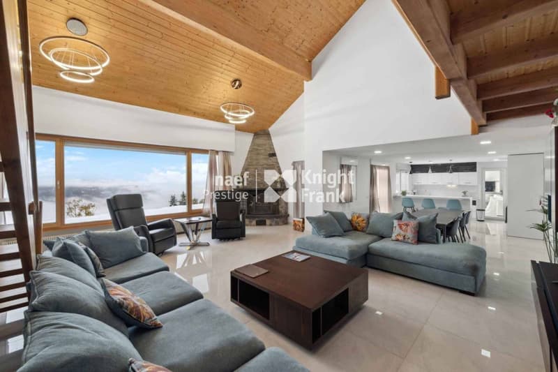 Magnifique villa de 6.5 pièces (2)