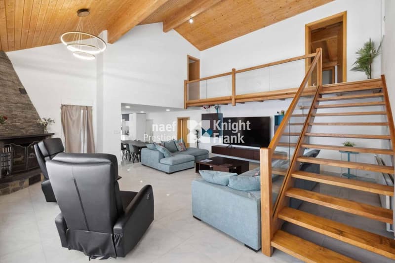 Magnifique villa de 6.5 pièces (4)