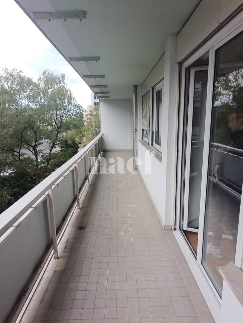 Appartement 4 pièces proche du parc Bertrand (9)