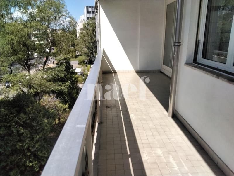 Appartement 4 pièces proche du parc Bertrand (8)