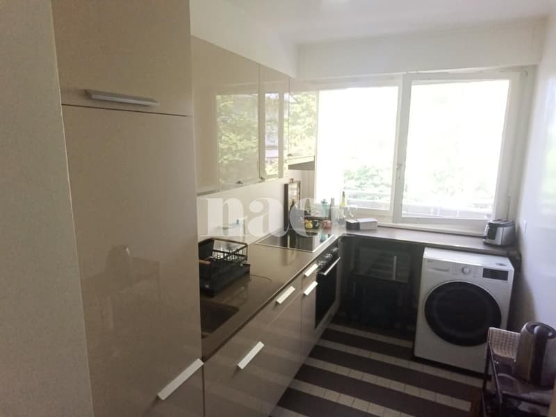 Appartement 4 pièces proche du parc Bertrand (3)