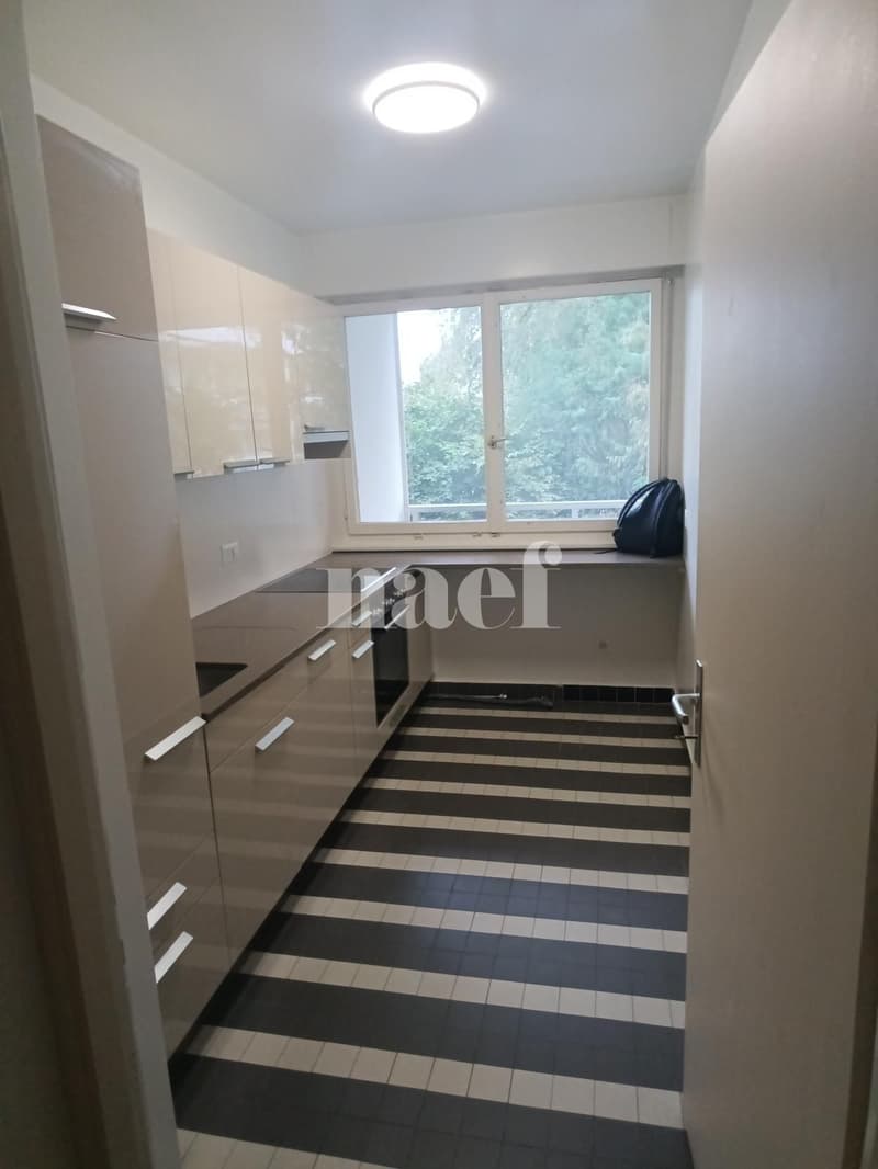 Appartement 4 pièces proche du parc Bertrand (3)