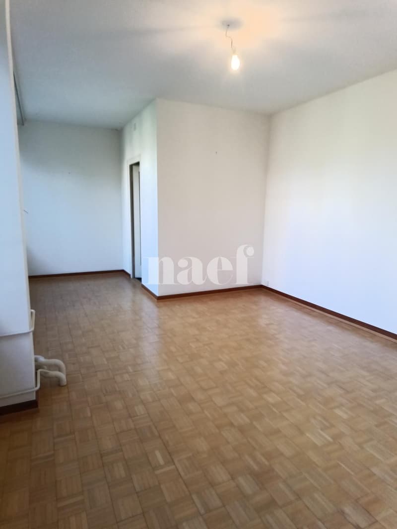 Appartement à 15 minutes à pied de la gare de Genève (2)