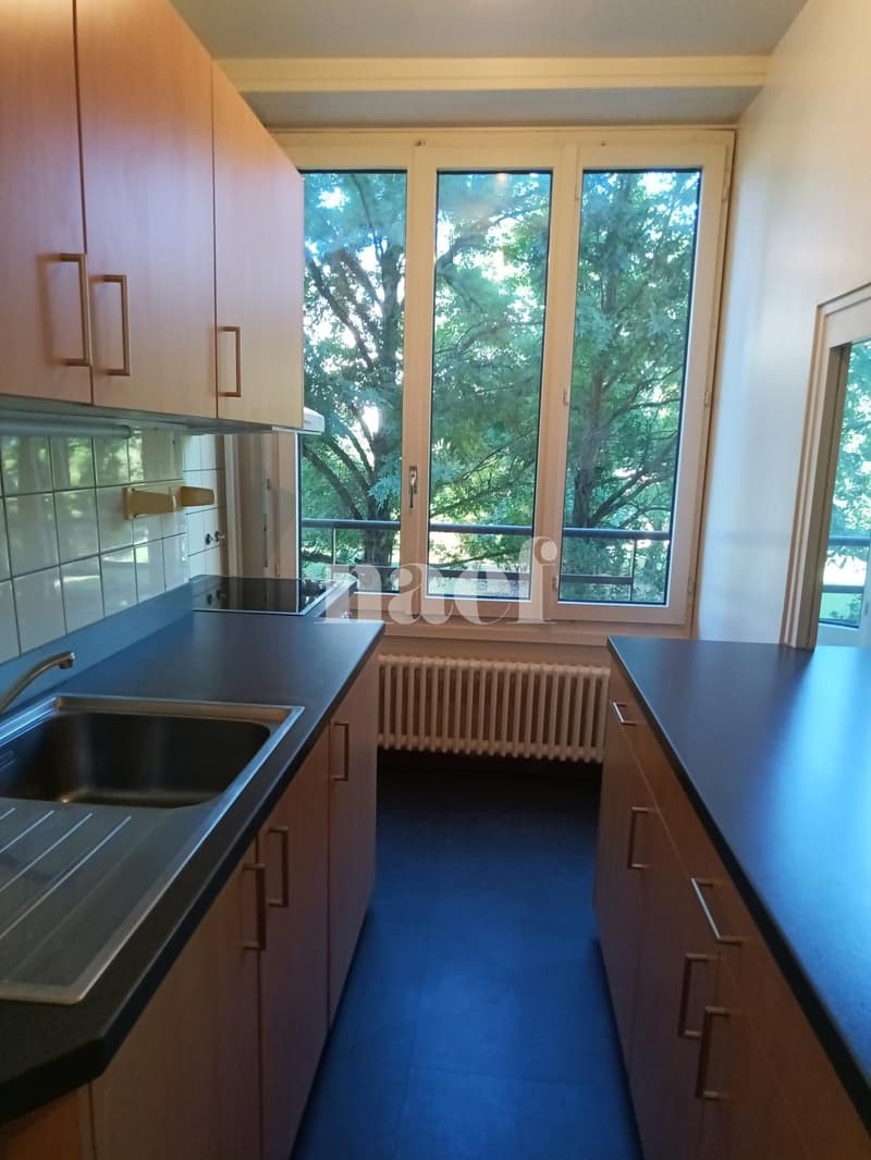 Appartement à 15 minutes à pied de la gare de Genève (4)