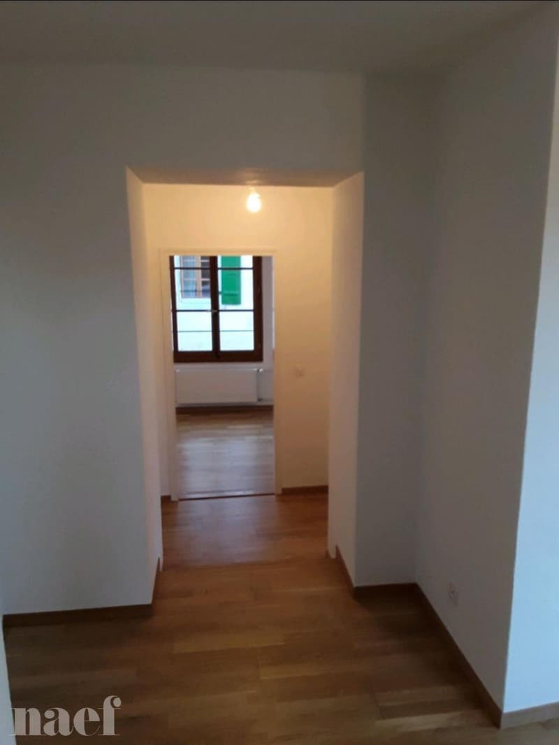 Appartement de 3 pièces à Veyrier (3)