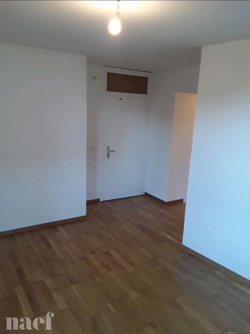 Appartement de 3 pièces à Veyrier (2)