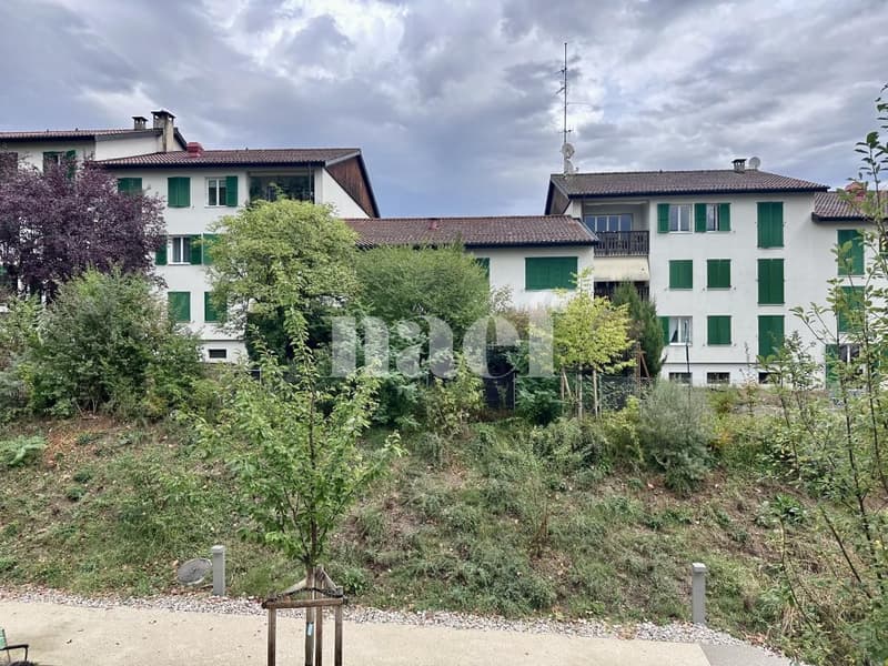 Bel appartement avec grand balcon - au coeur de Satigny (10)