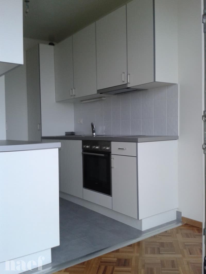 Appartement de 5 pièces dans le quartier de Versoix (3)