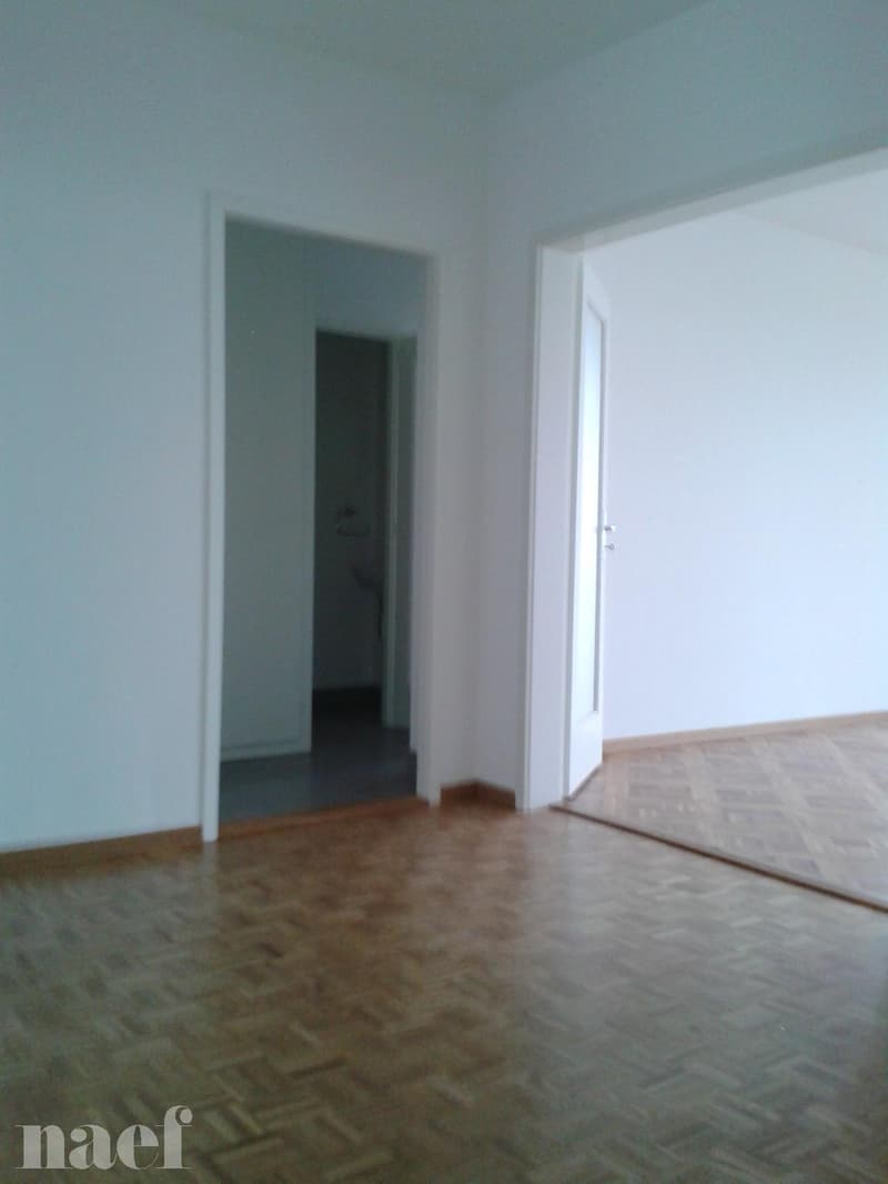 Appartement de 5 pièces dans le quartier de Versoix (2)