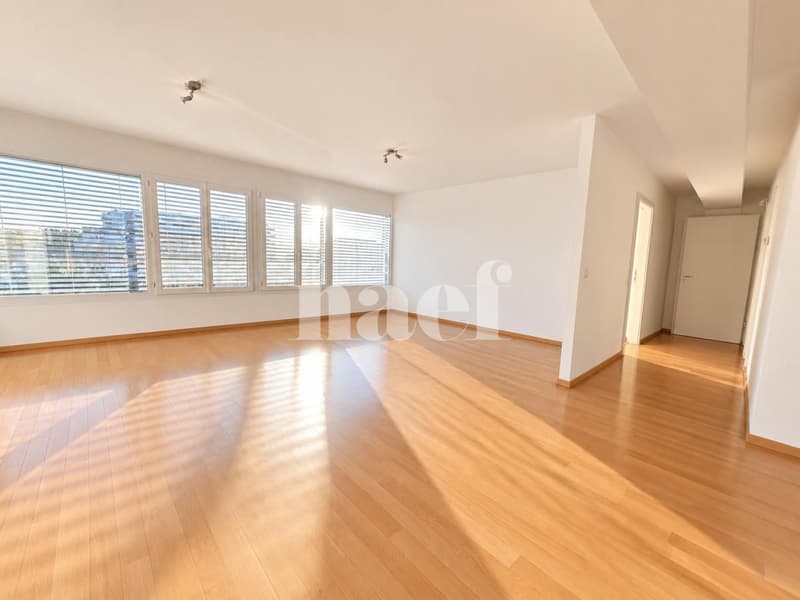 Duplex de 6 pièces avec deux terrasses Dernier étage, Versoix (5)