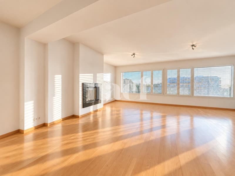 Duplex de 6 pièces avec deux terrasses Dernier étage, Versoix (1)