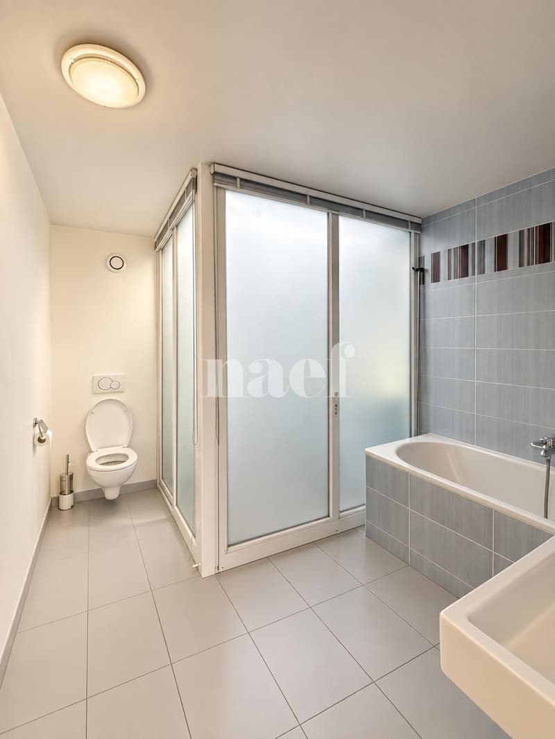 Duplex de 6 pièces avec deux terrasses Dernier étage, Versoix (13)