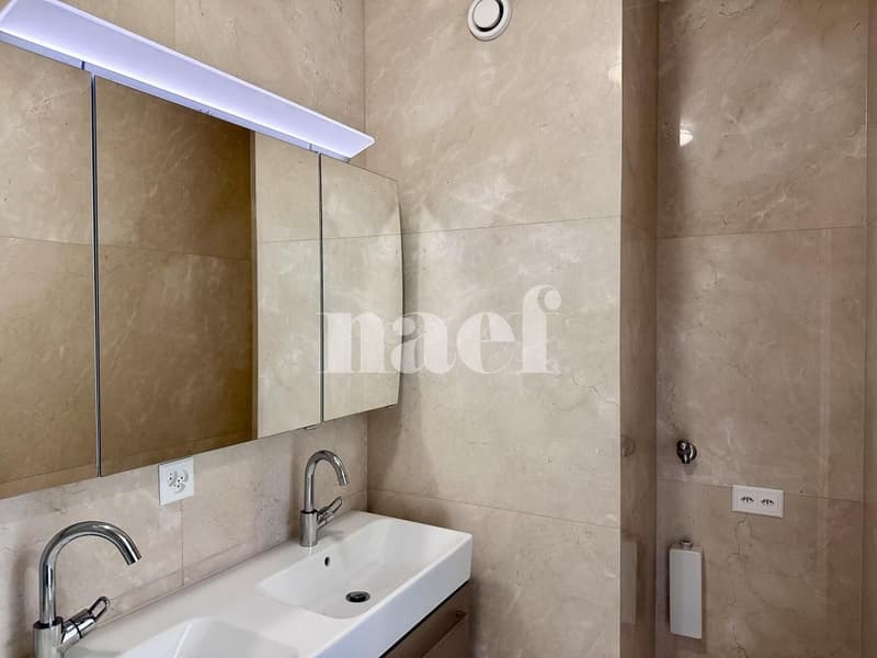 Charmant appartement traversant avec balcon de 16 m² à Meyrin-Cointrin (9)
