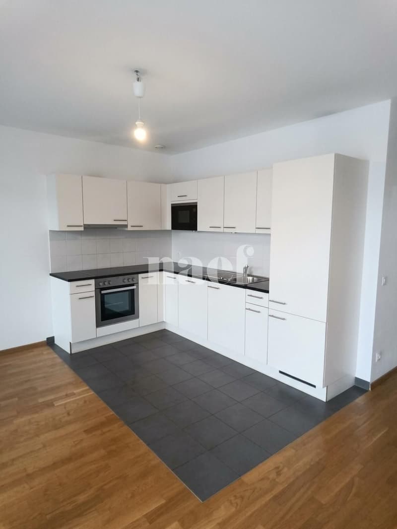 Appartement de 4.5 pièces au coeur de Genève (3)