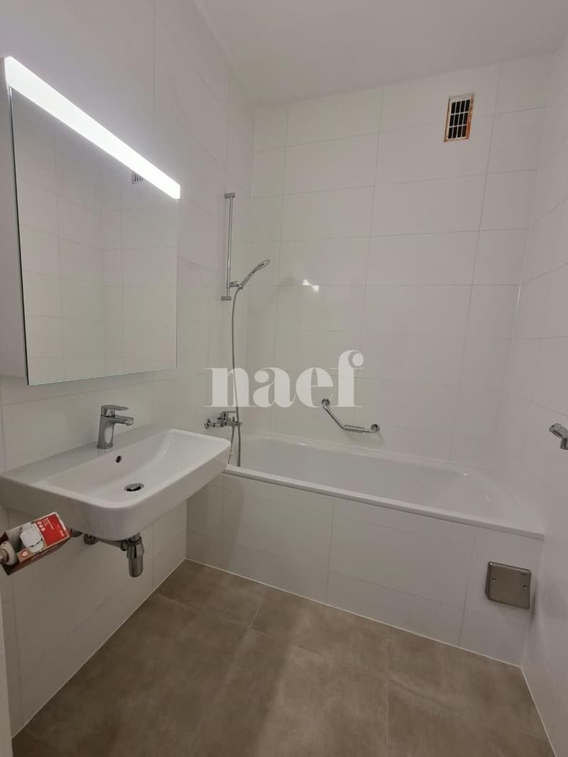 Appartement de 3 pièces entièrement rénové (4)