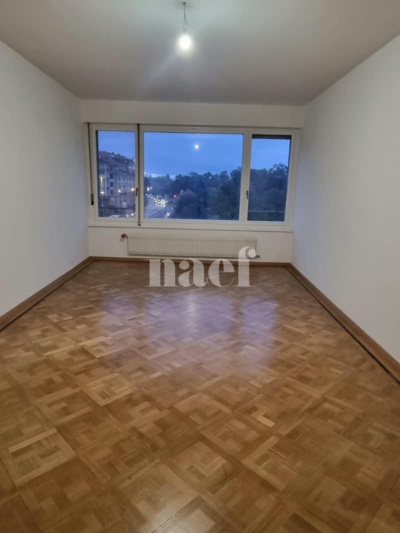 Appartement de 3 pièces entièrement rénové (3)
