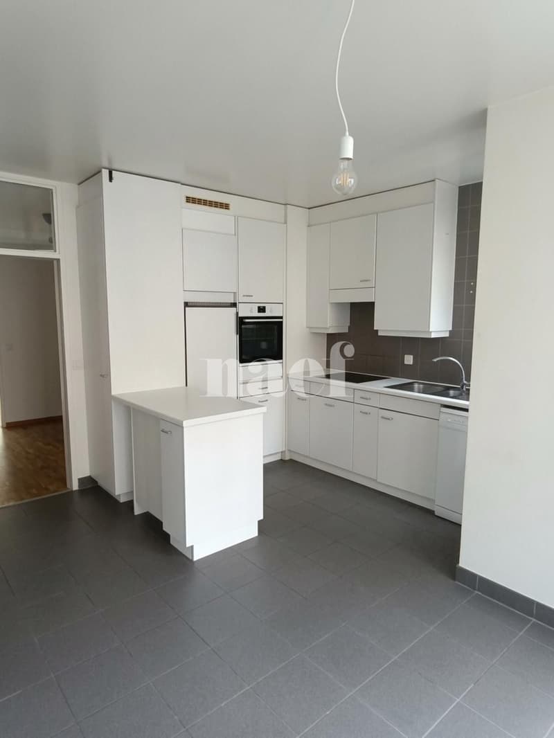 Appartement à proximité de la gare des Eaux-Vives (3)