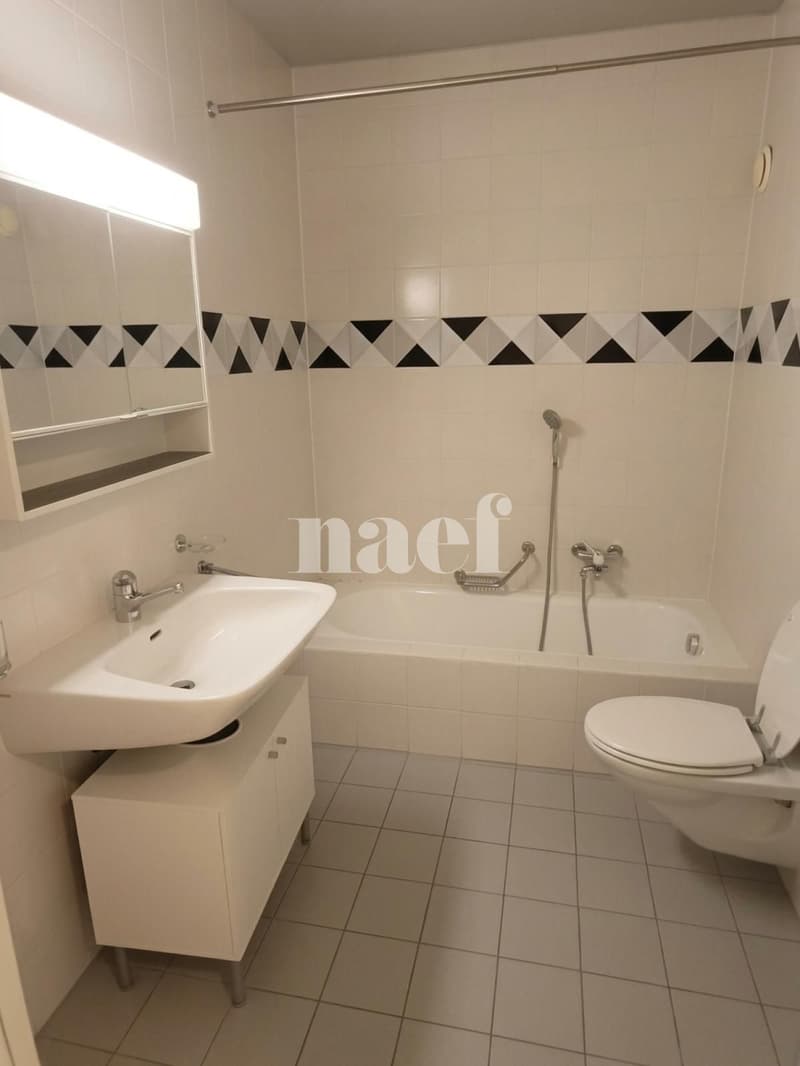 Appartement à proximité de la gare des Eaux-Vives (7)