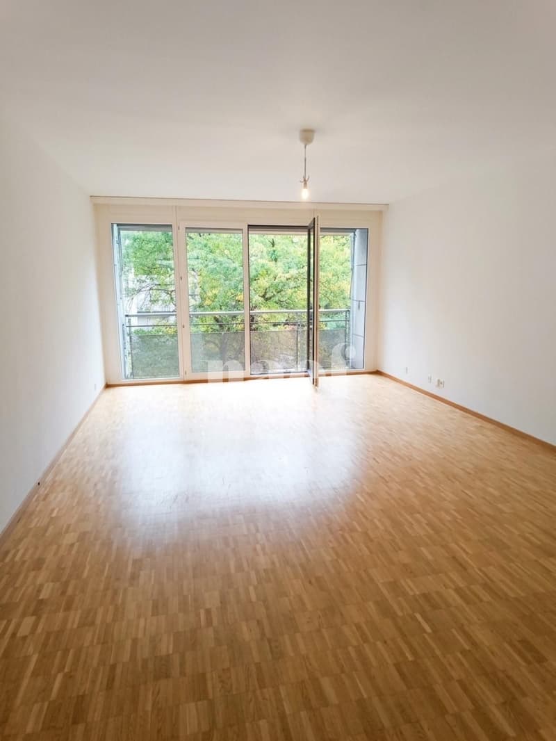 Appartement à proximité de la gare des Eaux-Vives (2)