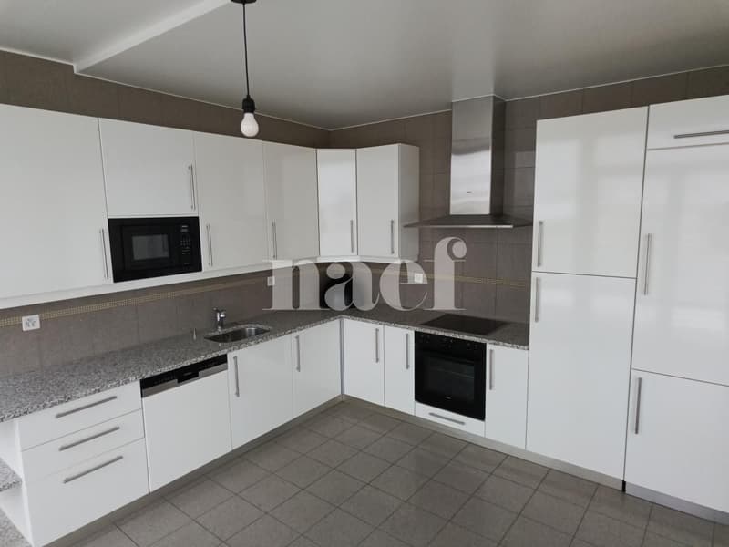 Appartement avec grande terrasse à Champel (3)