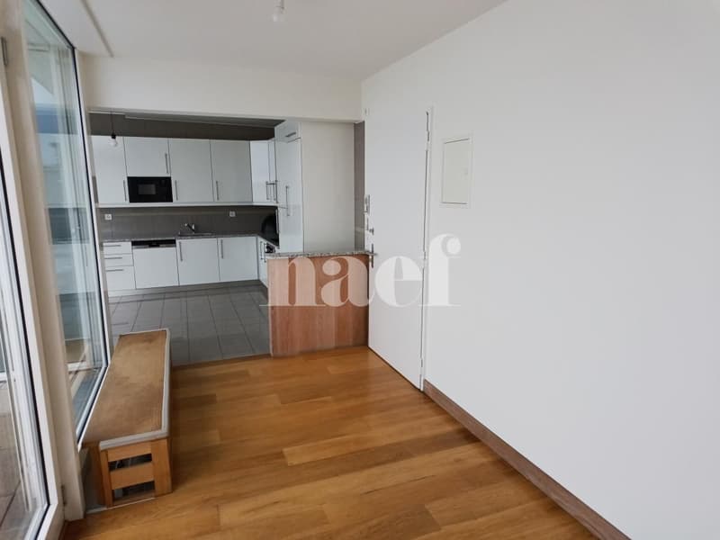 Appartement avec grande terrasse à Champel (2)