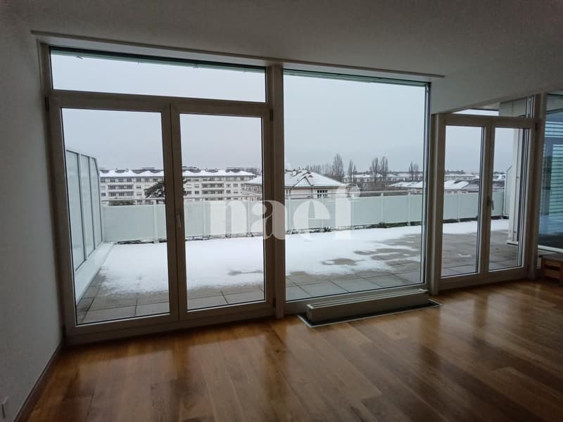 Appartement avec grande terrasse à Champel (4)