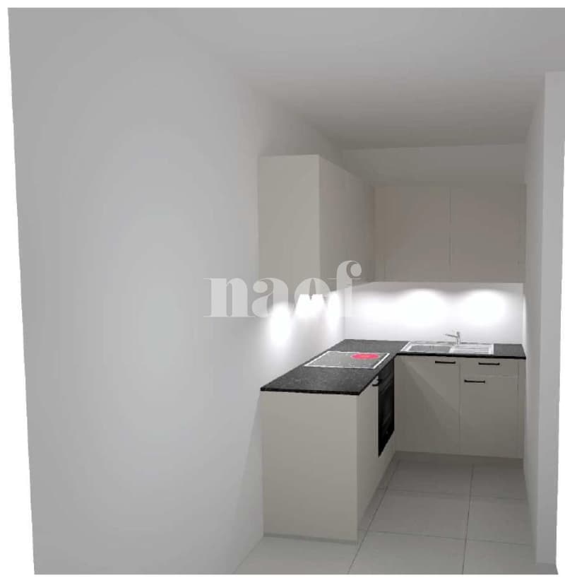 Appartement de 2 pièces entièrement rénové à proximité de la gare de Genève (2)