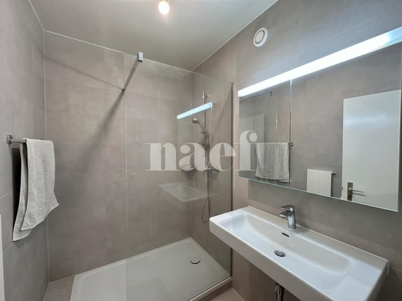 Appartement de 4 pièces avec parking intérieur à Champel (10)