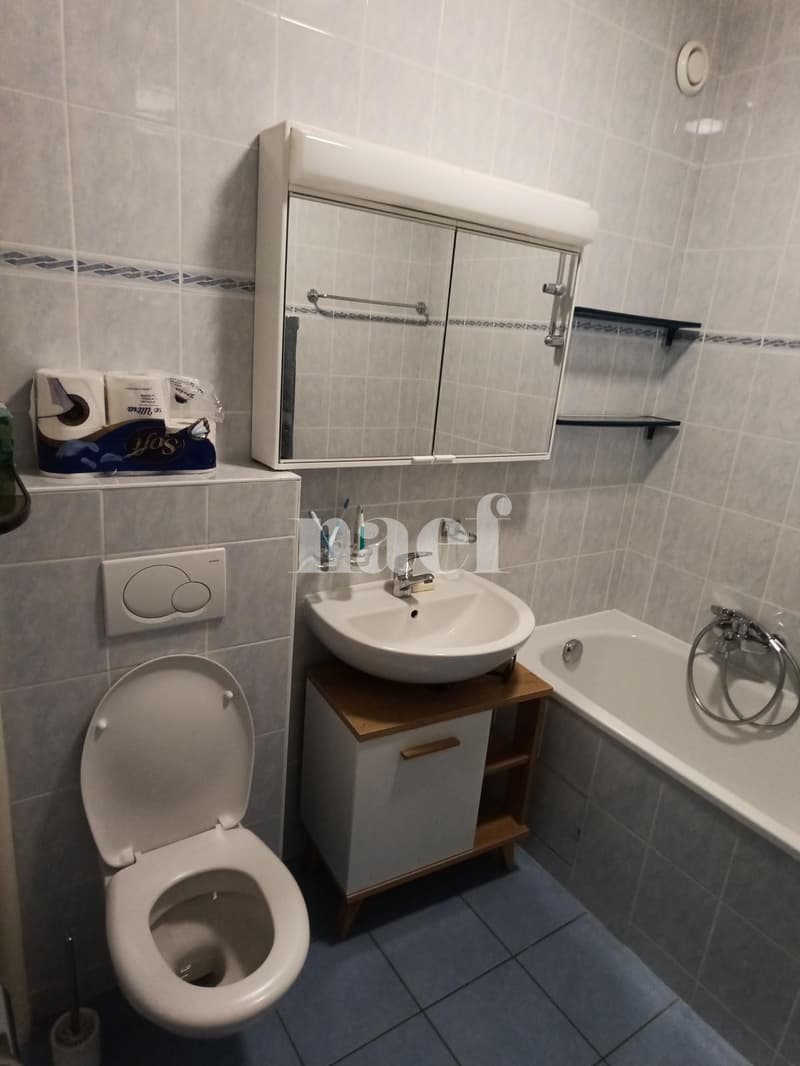 Spacieux appartement de 6.5 pièces au coeur de Champel (9)