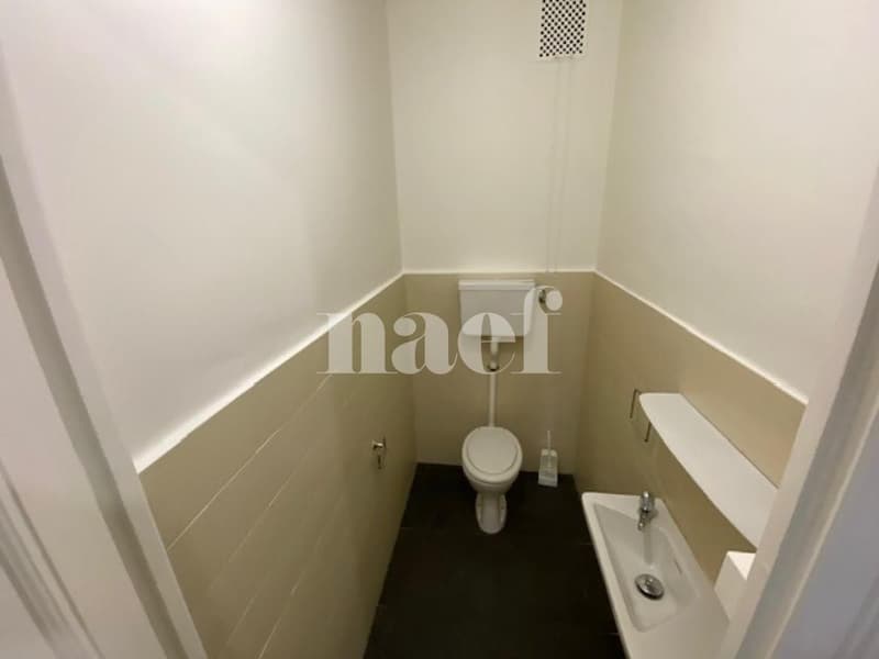 Spacieux et lumineux appartement en plein cur de Genève (10)