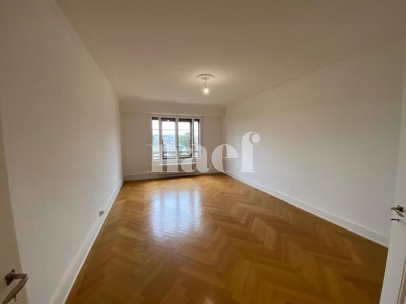 Spacieux et lumineux appartement en plein cur de Genève (6)