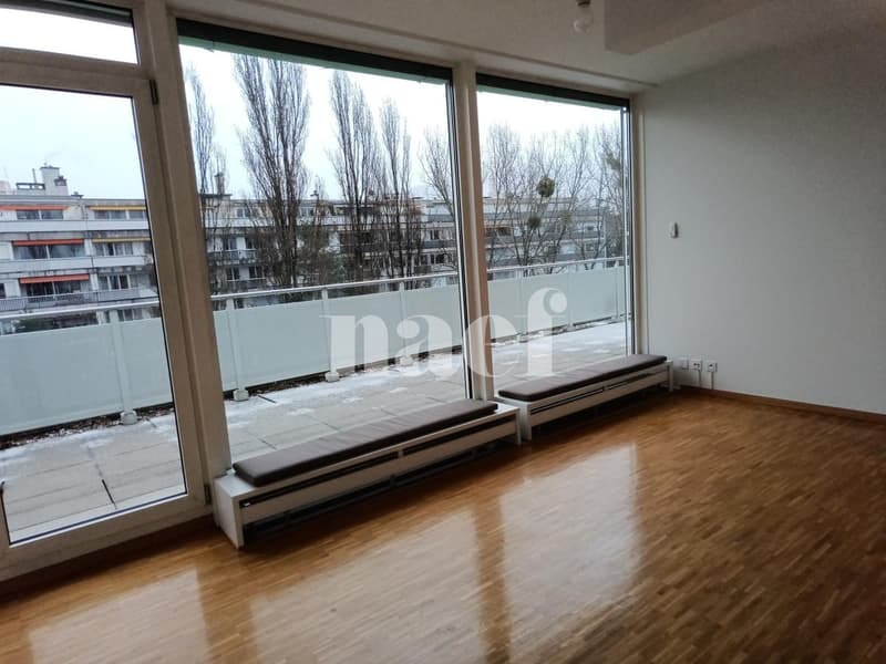 Appartement avec grande terrasse à Champel (6)