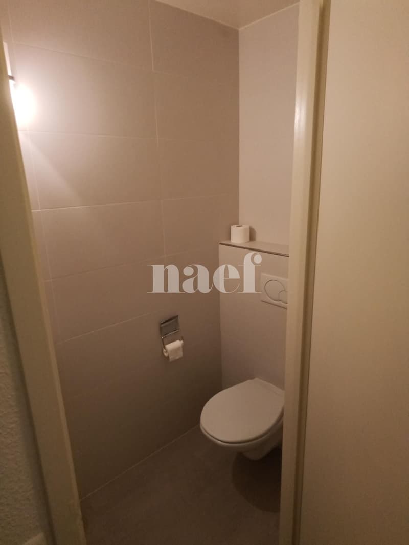 Appartement 4 pièces proche du parc Bertrand (8)
