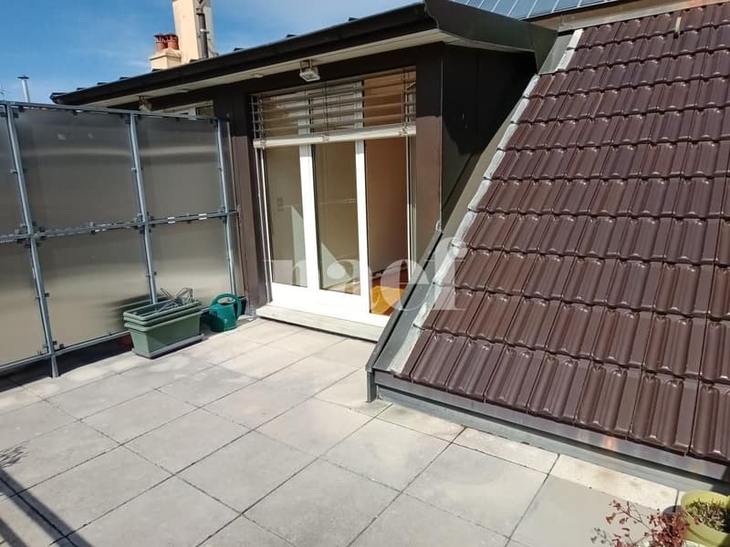 Magnifique attique avec terrasse au pied du parc Bertrand (9)