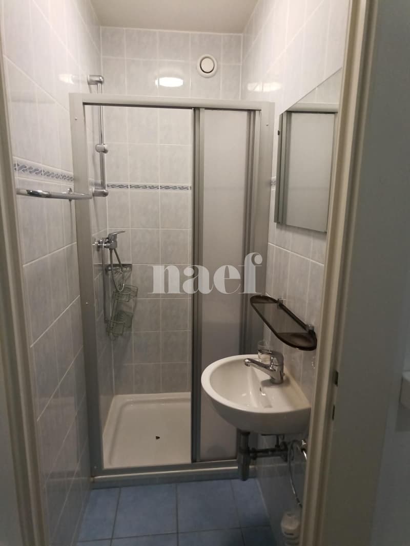 Spacieux appartement de 6.5 pièces au coeur de Champel (8)