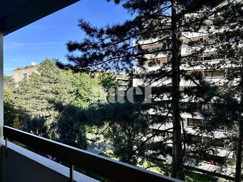 Appartement de 4 pièces avec parking intérieur à Champel (5)