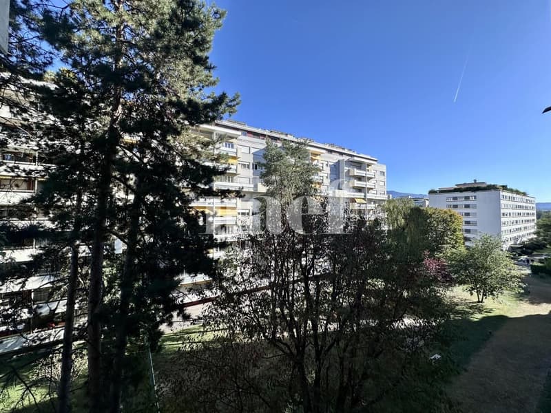 Appartement de 4 pièces avec parking intérieur à Champel (9)