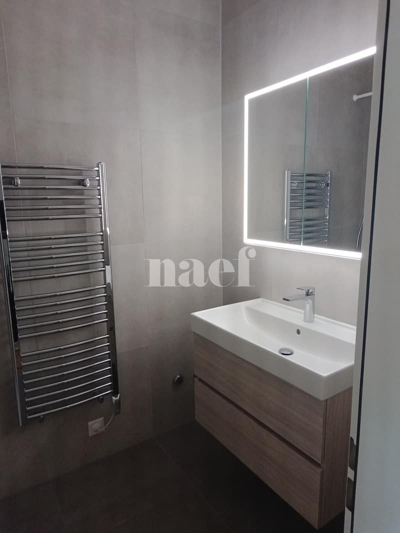 Bel appartement rénové (8)