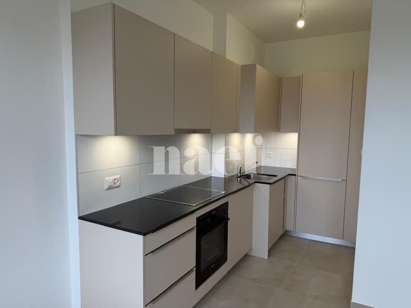 Appartement de 3 pièces entièrement rénové (2)